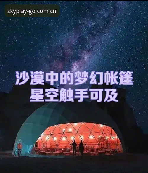 星空体育APP下载使用技巧详解：从安装到看数据，一篇说透